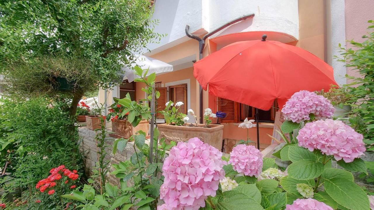 Valentino Διαμέρισμα Novigrad Istria Εξωτερικό φωτογραφία